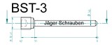 Titan (Ti6Al4V) - Bremsbelagstift Sonderfarben